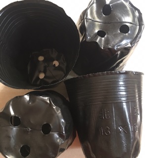 1 lạng túi bầu ươm cây chọn size(Loại 1)