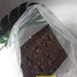 Phân Mùn Compost (Gói 3kg) Cải Tạo Màu Mỡ, Tạo Mùn Cho Đất