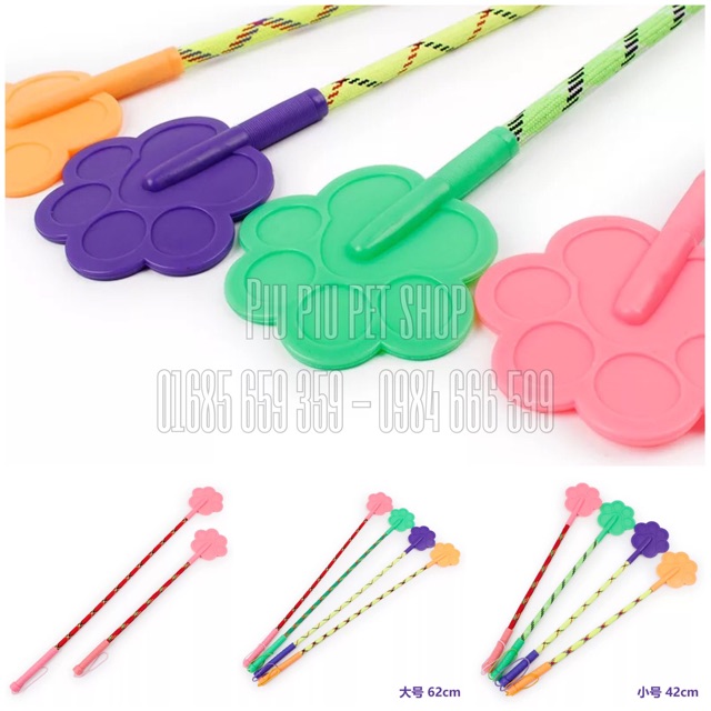 ROI HUẤN LUYỆN CHÓ MÈO