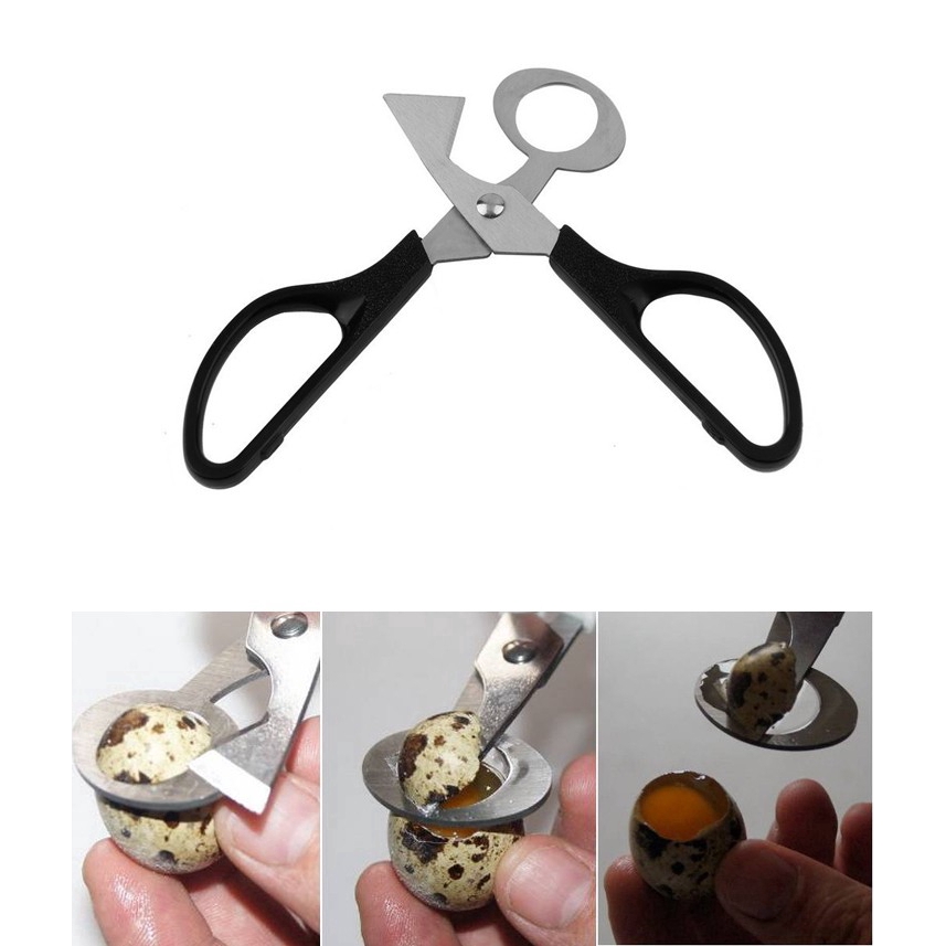 Pigeon Quail Egg scissor Bird Cutter Opener Kitchen Tool Clipper Cigar Cracker Blade