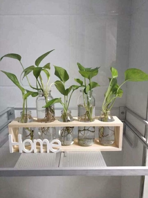 SÉT 5 BÌNH HOA THUỶ TINH KÈM KHUNG GỖ CHỮ HOME