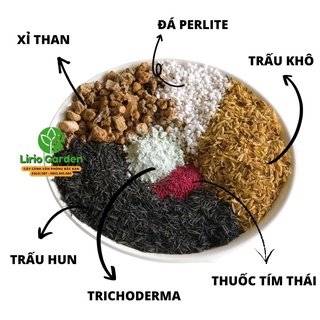 Đất trồng cây cảnh xương rồng , sen đá
