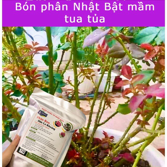 Túi 1Kg Phân Nhật, phân hữu cơ Nhật bổ sung Humic, siêu kích mầm chồi