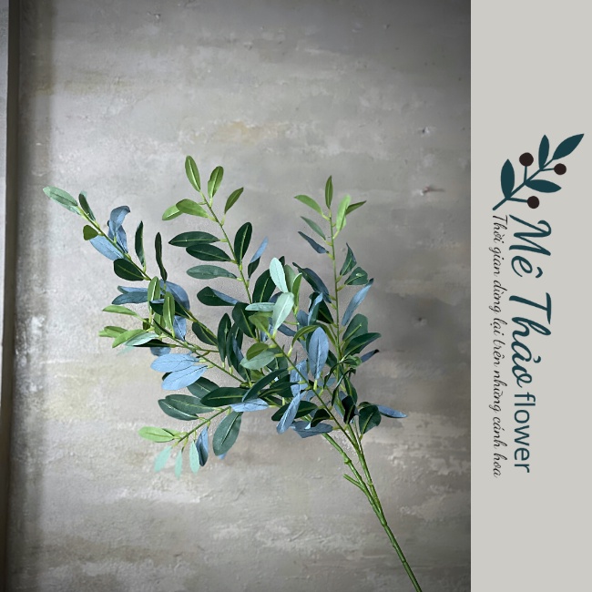 [Ảnh Shop Chụp] Cành Ô Liu Giả- Cành Olive Chất Liệu Lụa Cao Cấp Decor Nhà Cửa, Trang Trí Studio Mê Thảo Flower