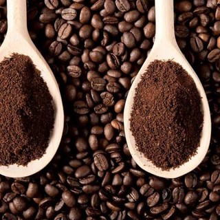 CÀ PHÊ ROBUSTA SẠCH NGUYÊN CHẤT 100% BUÔN MÊ THUỘT