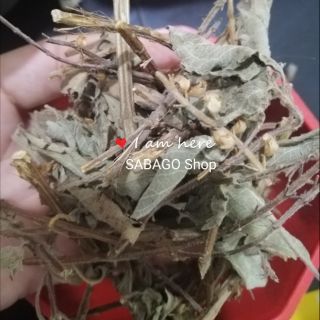 100 gram hương nhu khô tây bắc