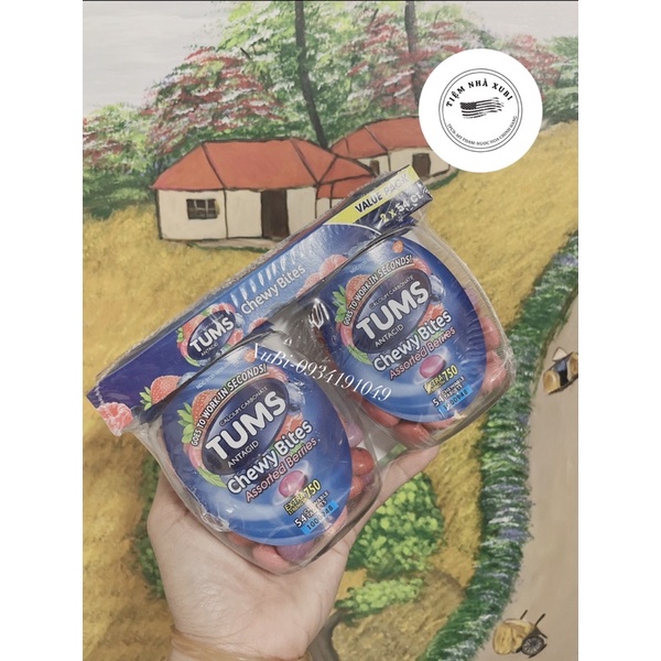 Viên Nhai Tiêu Hóa, Tiêu Gas Tums Antacid   Chewy Bites Lemon Strawberry 54 Chewable Tablets