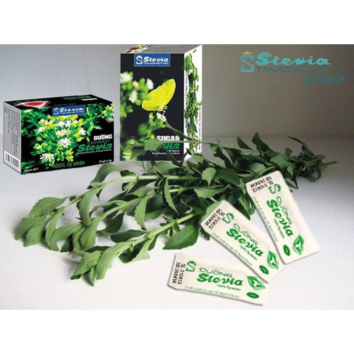 Đường cỏ ngọt Stevia Trường Thọ