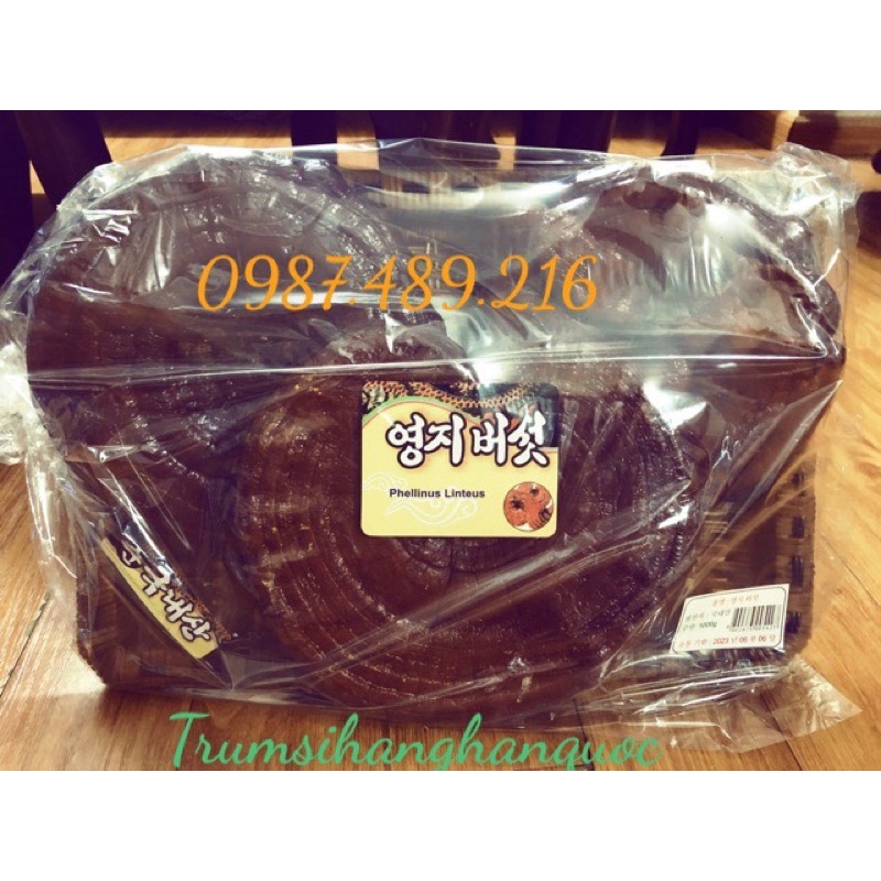 [HÀNG MỚI] Nấm linh chi Đỏ dạng khay HÀN QUỐC[DUY NHẤT HÔM NAY] [SALE LỚN]