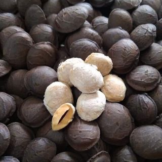 Sachi sấy daklak
