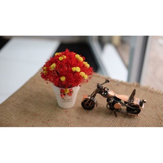 Lọ hoa Babi Bloom để bàn nhỏ