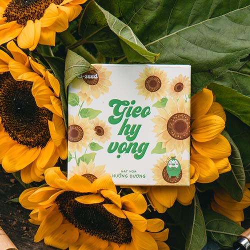 Phong bao hạt giống Gieo Hy vọng - Hạt hoa hướng dương
