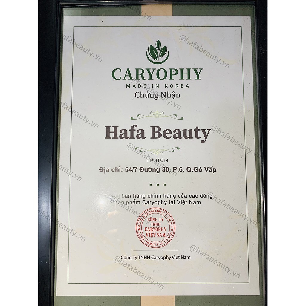 Bộ Đôi Giảm Mụn Và Mờ Thâm Nước Hoa Hồng Some By Mi Toner Và Tinh Chất Caryophy Portulaca Ampoule Serum - HAFA BEAUTY