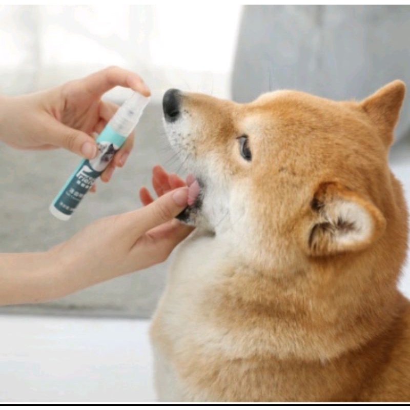 Xịt thơm miệng Fresh Friends cho chó mèo 14ml