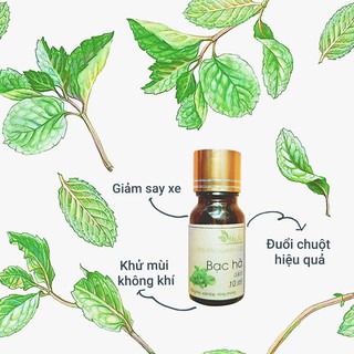 Tinh dầu Bạc Hà Hà Na - Tinh Dầu Hà Na - Mùi thơm tươi mát, khử mùi không khí