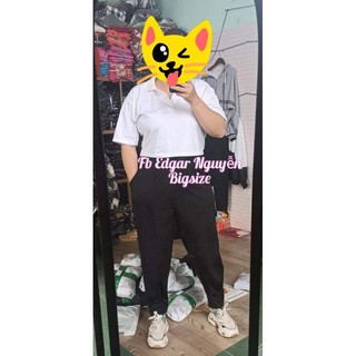 Áo croptop cổ bẻ bigsize