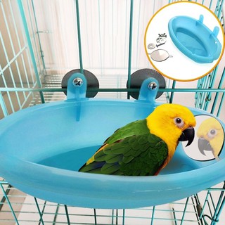 Bồn Tắm Có Gương Soi Dành Cho Chim Vẹt