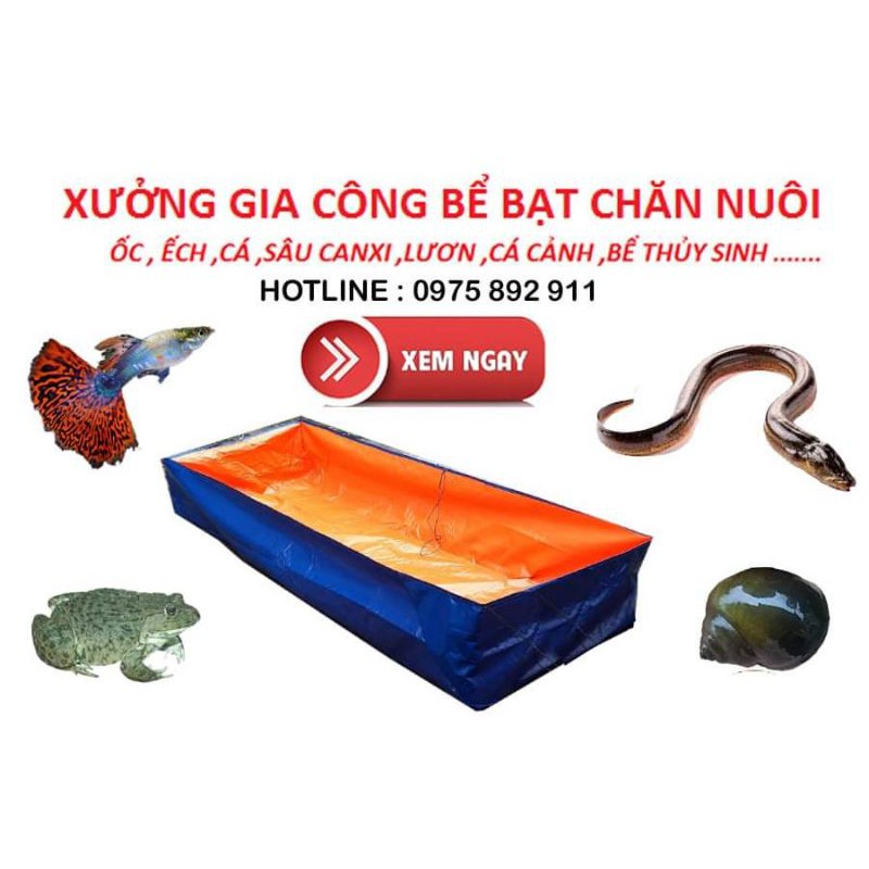 Bể bạt nuôi cá ốc ếch lươn - loại 4x2x0,5