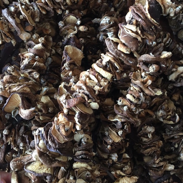 Nấm hương rừng Sapa 400g