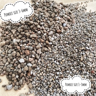Đá pumice size 1-3, 3-6mm