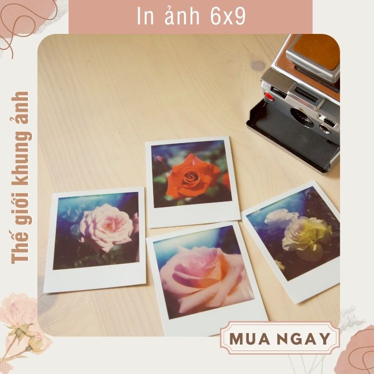 In ảnh cỡ 6x9, in ảnh 1k cỡ nhỏ phong cách, ảnh poladroid hiện đại