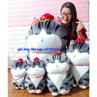 Gấu bông, thú nhồi bông mèo hoàng thượng