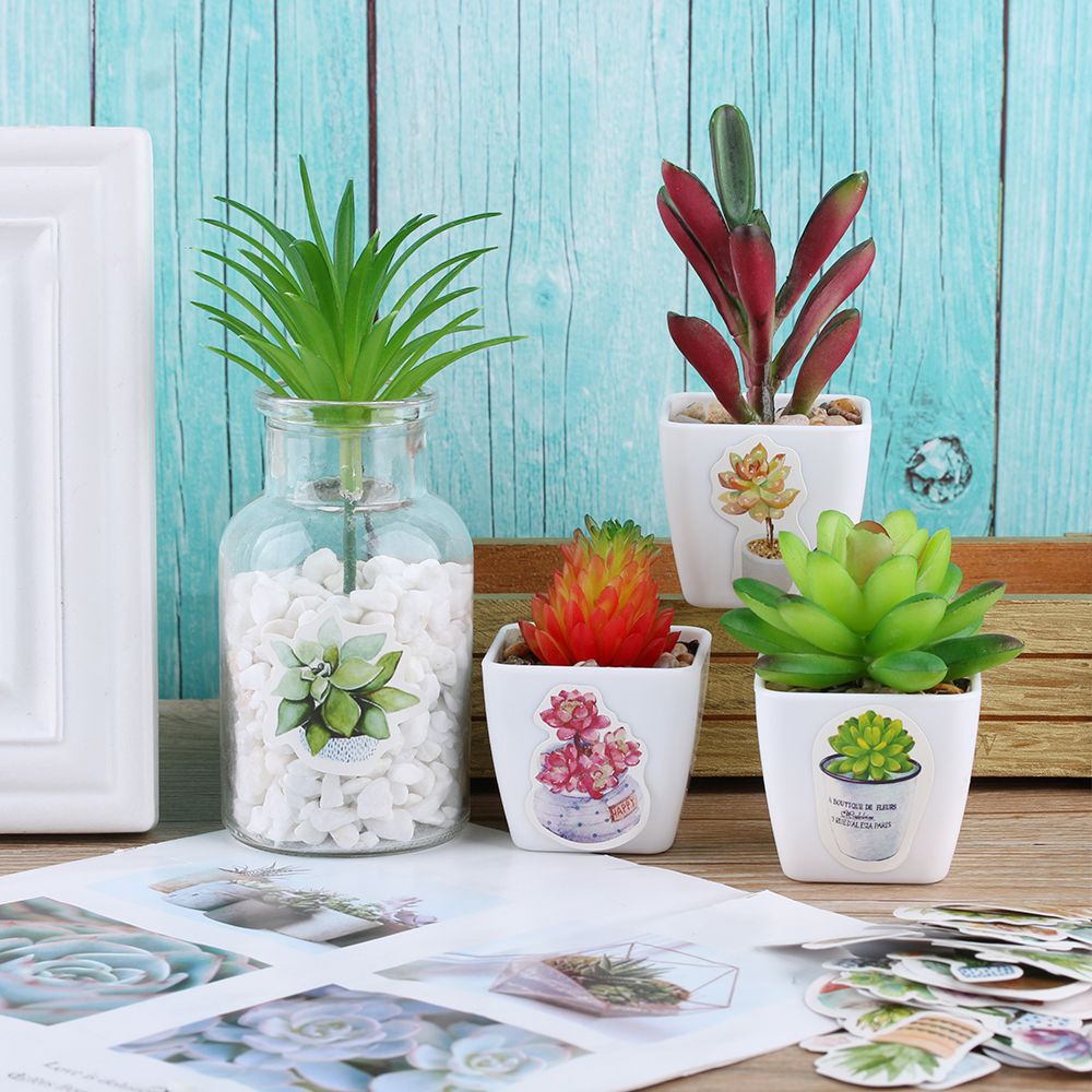 Hộp 50 miếng dán trang trí hình cây mọng nước hoạt hình đáng yêu