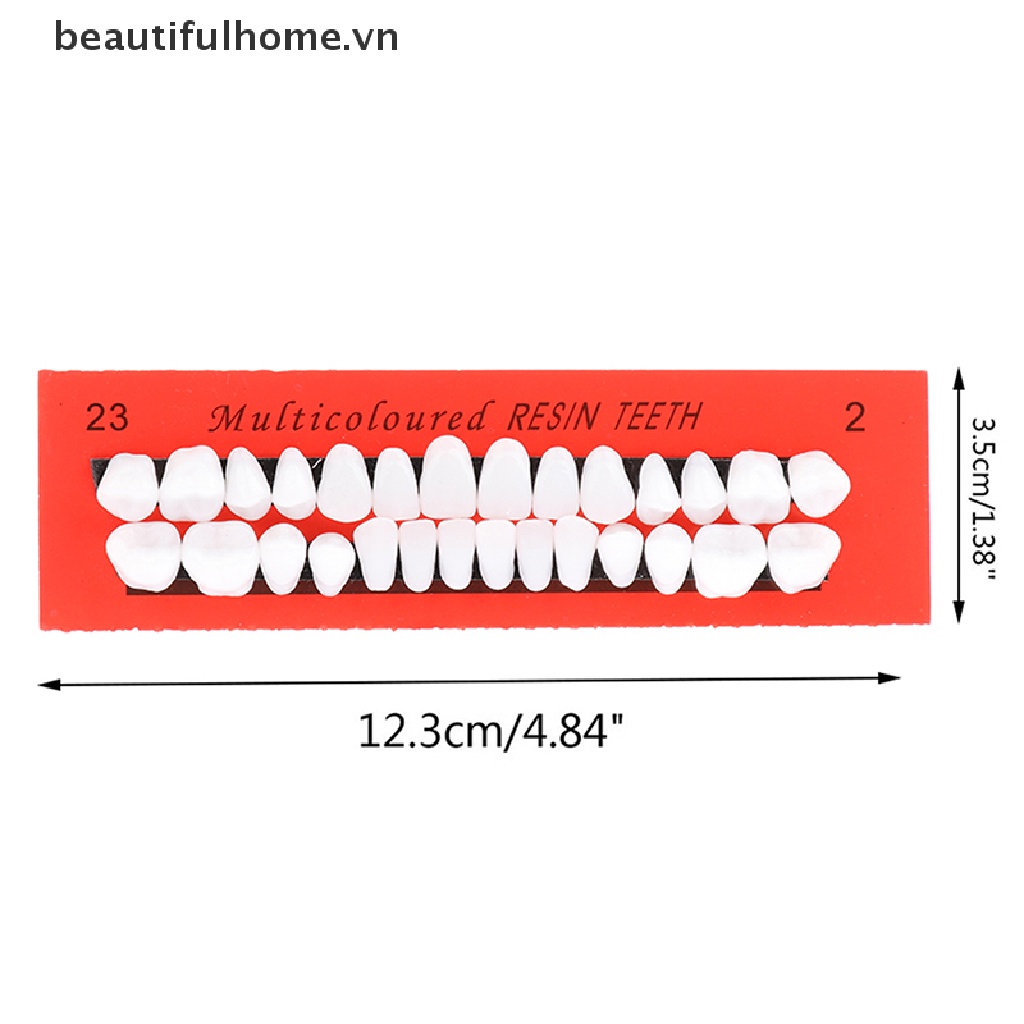 Bộ 28 Mô Hình Răng Giả Bằng Nhựa Hỗ Trợ