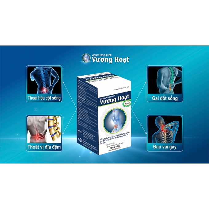 VƯƠNG HOẠT - HỖ TRỢ NGĂN NGỪA THOÁI HÓA CỘT SỐNG, THOÁT VỊ ĐĨA ĐỆM, ĐAU NHỨC XƯƠNG KHỚP