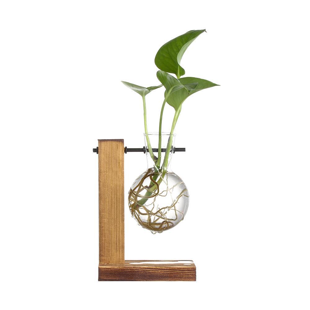 BORAG Khung Gỗ Trồng Cây Thủy Canh Để Bàn Trang Trí