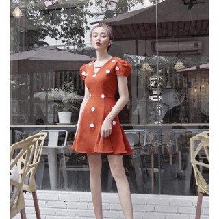 Đầm xoè đi tiệc hoa đính nổi