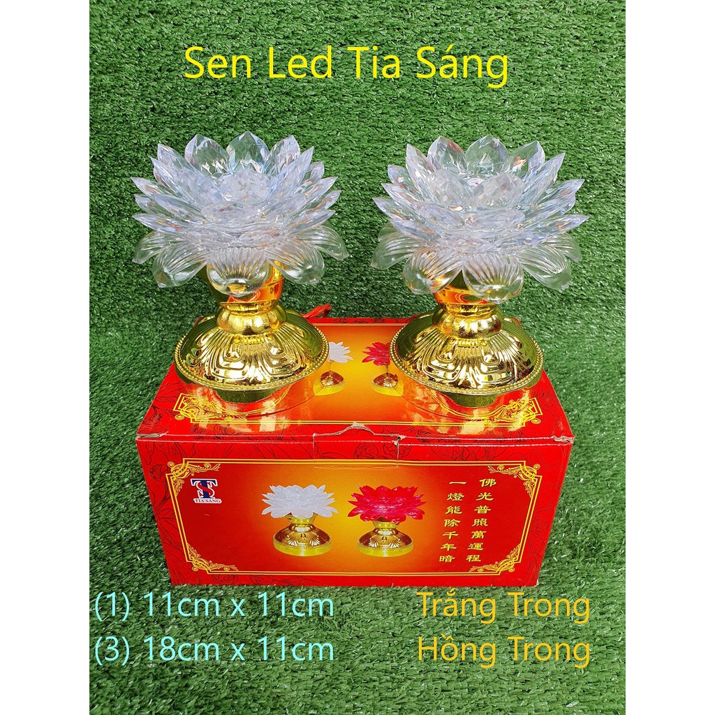 Đèn Thờ Sen 7 Màu Tia Sáng - Cao Cấp