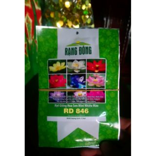 Hạt giống hoa sen nhật mini