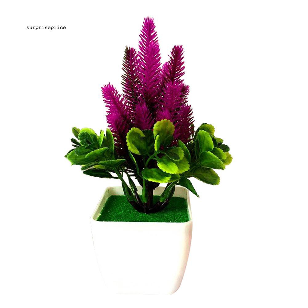 Chậu cây bonsai giả trang trí đa năng