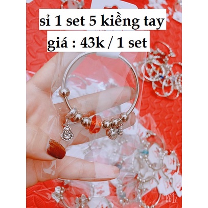 Sỉ 1 SET 5 cái kiềng vòng tay mix charm màu