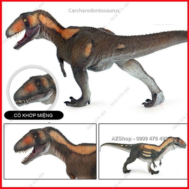 Mô Hình Khủng Long Ăn Thịt Carcharodontosaurus - Mẫu B