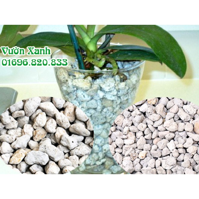 (500gr) Đá bọt (Đá núi lửa) nhẹ, thoáng, giữ ẩm rất tốt cho lan size 1-2 cm