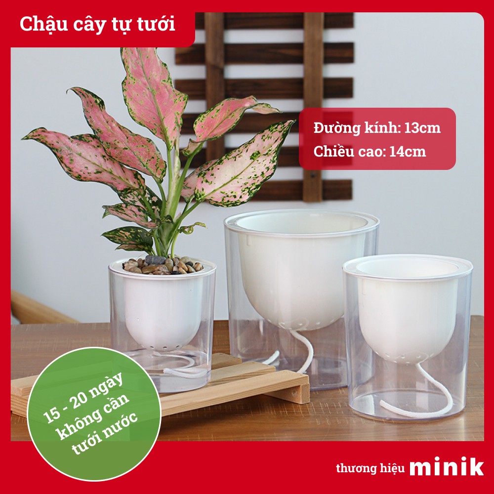 Chậu trồng cây để bàn tự dưỡng MINIK, trong suốt, có thể trồng đất hoặc trồng thủy canh, size 13cm x14cm