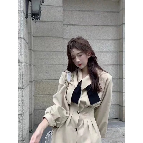 Đầm nữ dài tay mùa xuân hè phong cách pháp