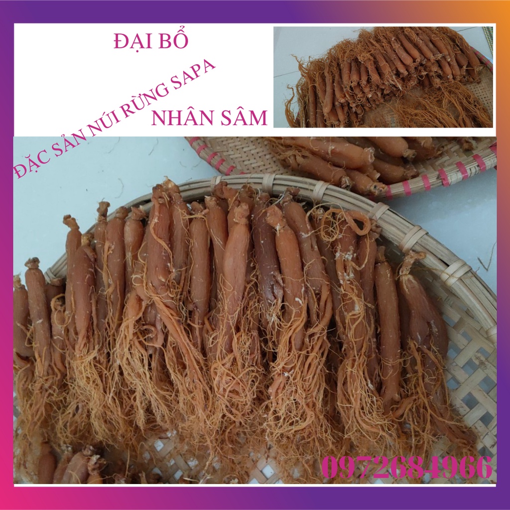 NHÂN SÂM (1 củ  NHỊ HỒNG SÂM) sấy khô củ 25-30gr dẻo thơm ngon dễ ăn bổ dưỡng tăng cường sức khỏe | BigBuy360 - bigbuy360.vn