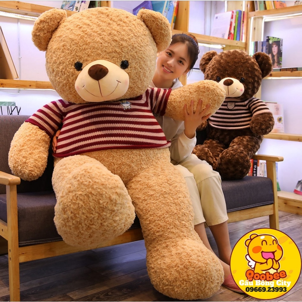 Gấu Bông Teddy Áo Len Baby - Teddy Nhồi Bông Nhập Khẩu Quà Tặng Cao Cấp