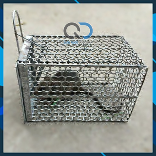 Lồng Bẫy chuột - Lồng Bắt Chuột Lớn kt 20x30cm