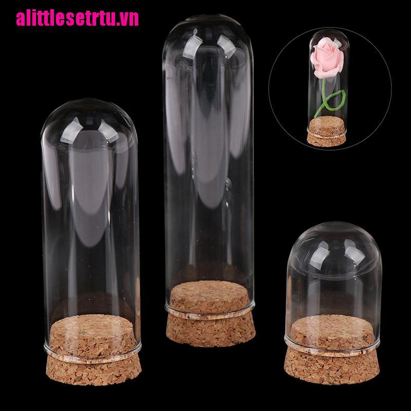 【Trvn】1/6 Doll Glass Dome Display Wood Cork Bell Jar With Wooden Base Decoatio