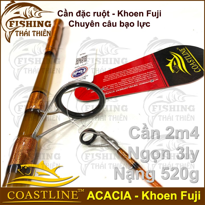 Cần câu cá Coastline Acacia Cần 2 khúc máy đứng đặc ruột khoen Fuji câu cá tra siêu bạo lực