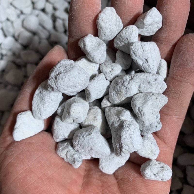 Seachem Matrix thế hệ mới 500gr Hộp nguyên seal