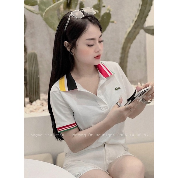 Áo polo cổ viền cá sấu 3 màu