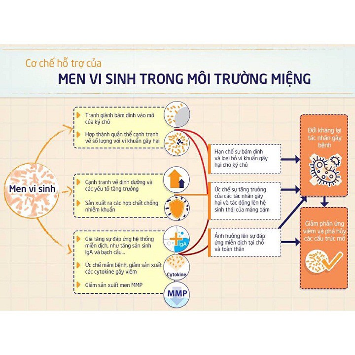 Bào tử lợi khuẩn Pregmom - Giúp giảm táo bón, tăng hấp thu, tăng cường miễn dịch, an toàn với mẹ bầu và trẻ nhỏ