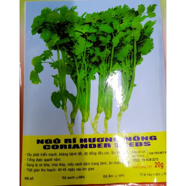 HẠT GIỐNG NGÒ RÍ - GÓI 20 GRAM