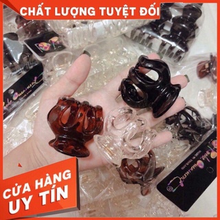 Siêu sale 1 kẹp càng cua thái lan 6 răng siêu sale