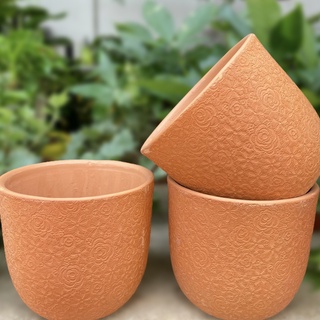 Chậu đất nung Envie hoa cổ điển (15*15*13cm)